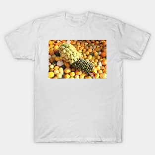 Group of pumpkins T-Shirt